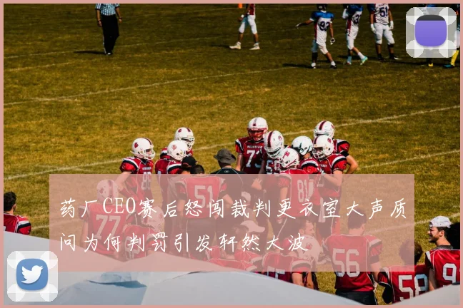 药厂CEO赛后怒闯裁判更衣室大声质问为何判罚引发轩然大波