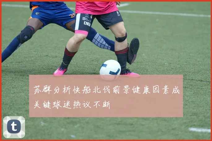 苏群分析快船北伐前景健康因素成关键球迷热议不断