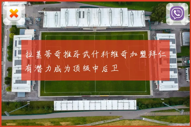 拉基蒂奇推荐武什科维奇加盟拜仁有潜力成为顶级中后卫