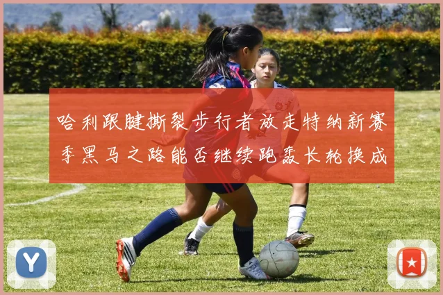哈利跟腱撕裂步行者放走特纳新赛季黑马之路能否继续跑轰长轮换成关键